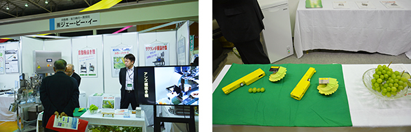 シャインマスカット用　測色判定器