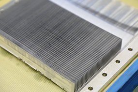 小さな羽根（フィン）