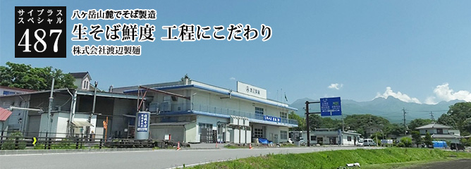 [サイプラススペシャル]487 生そば鮮度　工程にこだわり 八ヶ岳山麓でそば製造