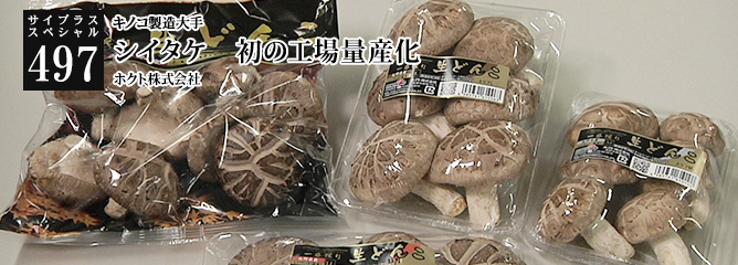 [サイプラススペシャル]497 シイタケ　初の工場量産化 キノコ製造大手