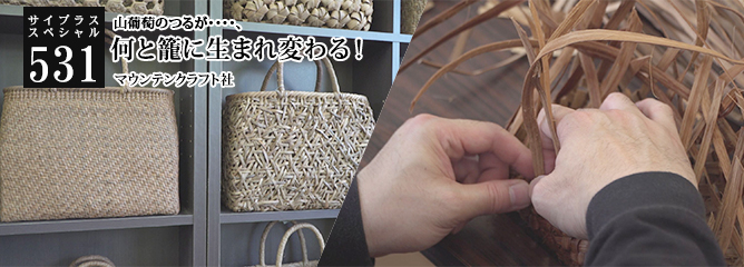 [サイプラススペシャル]531 何と籠に生まれ変わる！ 山葡萄のつるが・・・・、