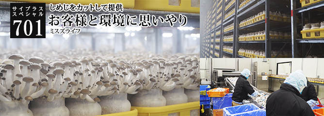 [サイプラススペシャル]701 お客様と環境に思いやり しめじをカットして提供