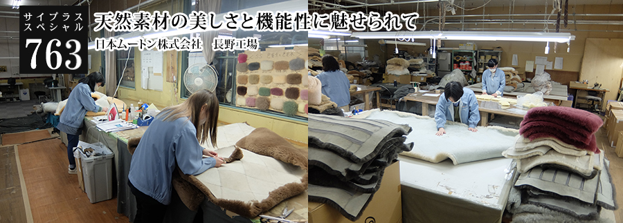 [サイプラススペシャル]763 天然素材の美しさと機能性に魅せられて 皮から革へ