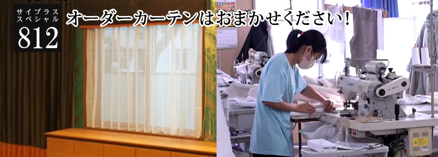 [サイプラススペシャル]812 オーダーカーテンはおまかせください！ 