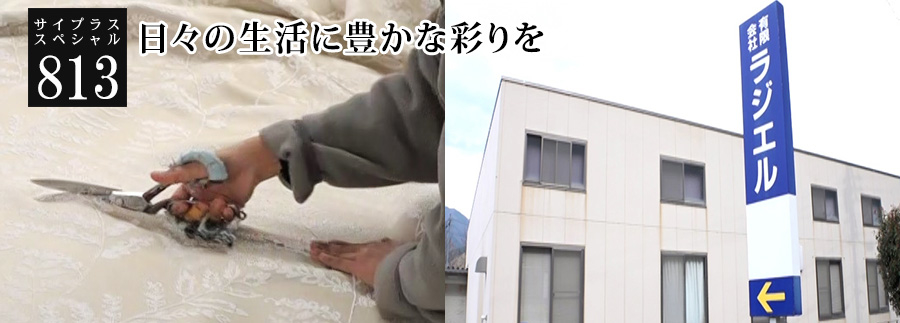 [サイプラススペシャル]813 日々の生活に豊かな彩りを 