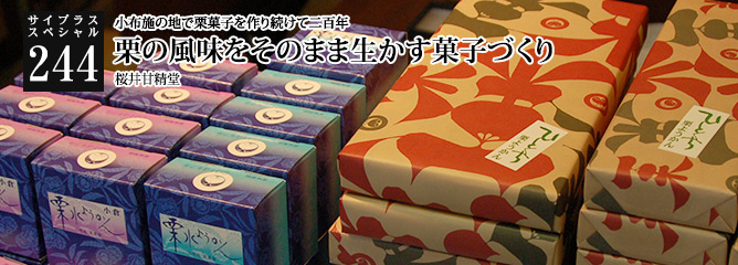 [サイプラススペシャル]244 栗の風味をそのまま生かす菓子づくり 小布施の地で栗菓子を作り続けて二百年
