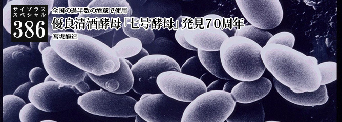 [サイプラススペシャル]386 優良清酒酵母「七号酵母」発見７０周年 全国の過半数の酒蔵で使用