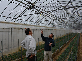 ハウスなど農業施設に設置