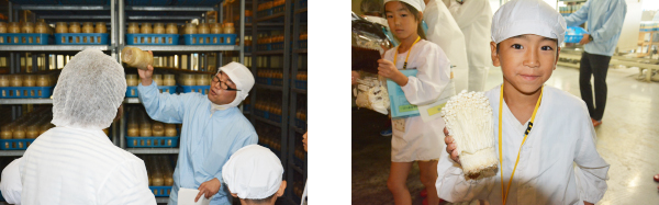 えのき茸もぎとり