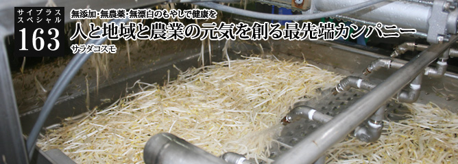 [サイプラススペシャル]163 人と地域と農業の元気を創る最先端カンパニー 無添加・無農薬・無漂白のもやしで健康を