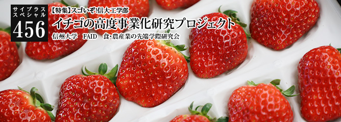 [サイプラススペシャル]456 イチゴの高度事業化研究プロジェクト 【特集】スゴいぞ!信大工学部