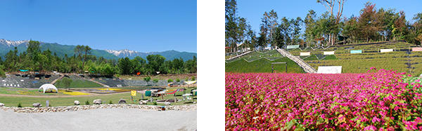 ルビーの里 赤そば