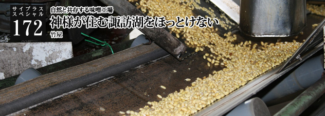 [サイプラススペシャル]172 神様が住む諏訪湖をほっとけない 自然と共存する味噌工場